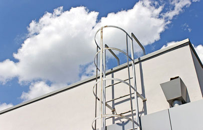 Escalera de gato con jaula